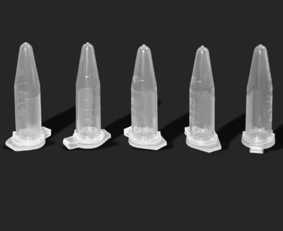 sweet & gourmand perfume oil samples Pack 1ml arranged neatly for retailers evaluating daily-wear scents.